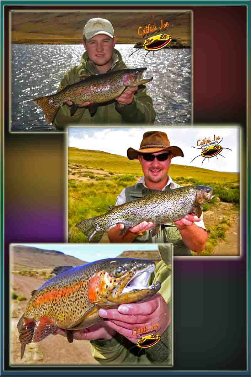 Fly Fishing For Trout In South Africa Lesotho Amazing And Scenic